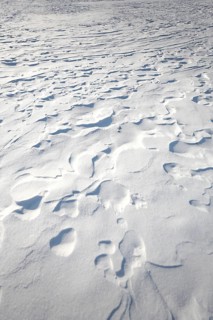 Snow drifts caused by wind from powder snow look like dunes and form bizarre patterns and structures,
