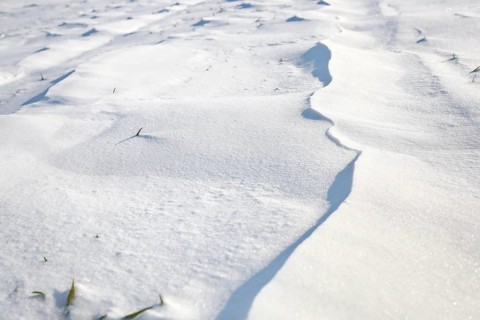 Snow drifts caused by wind from powder snow look like dunes and form bizarre patterns and structures,