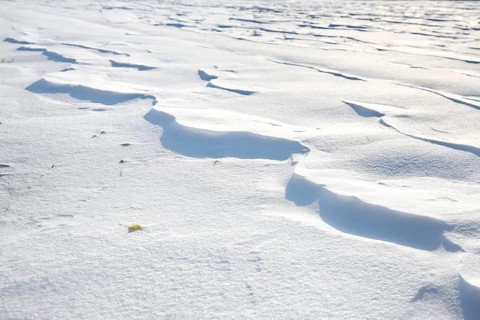 Snow drifts caused by wind from powder snow look like dunes and form bizarre patterns and structures,