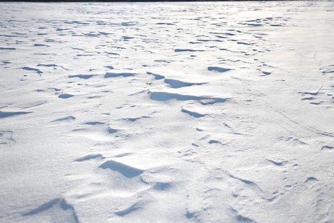 Snow drifts caused by wind from powder snow look like dunes and form bizarre patterns and structures,