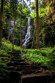 Waterfall with old stone steps in the green forest, the Burgbach waterfall near Schapbach in the Black Forest