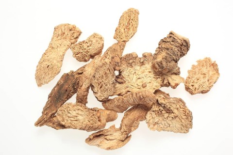 Medicinal plant Becherglockenwurzel, Schellenblume