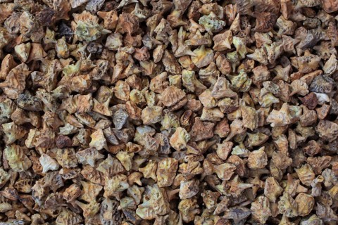 Medicinal plants: Earth spikenard, Tribulus fructus