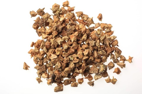Medicinal plants: Earth spikenard, Tribulus fructus