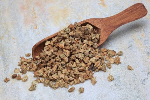Medicinal plants: Earth spikenard, Tribulus fructus