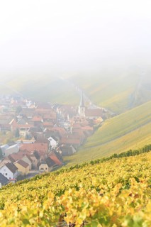 Rising fog in the vineyard near Volkach with a view of Nordheim am Main. Volkach, Kitzingen