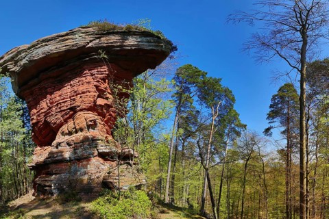 The Devil's Table at the Old Castle Rocks near Eppenbrunn. Eppenbrunn, Pirmasens-Land
