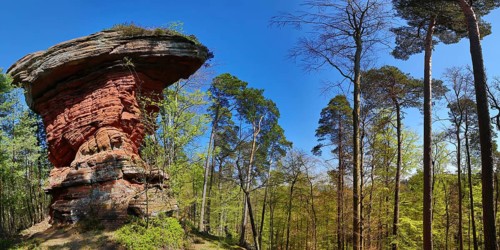 The Devil's Table at the Old Castle Rocks near Eppenbrunn. Eppenbrunn, Pirmasens-Land