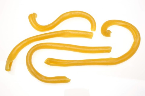 Pasta: Riccioli di Fata, traditional Italian pasta made from durum wheat flour