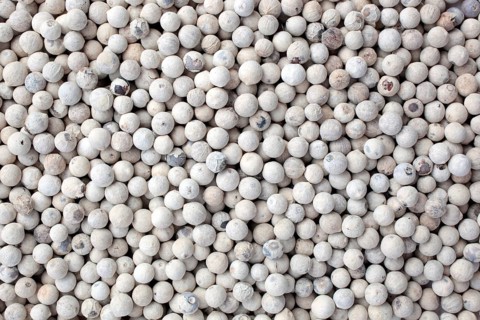 White pepper, ripe pepper freed from the husk