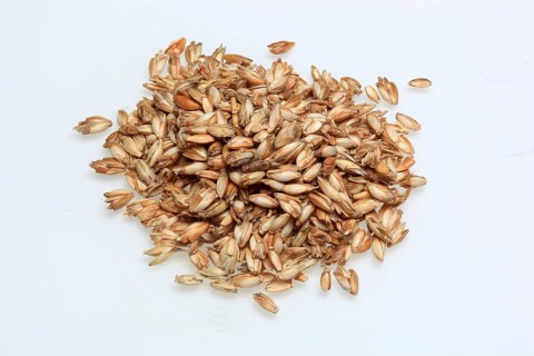 Spelt husks, spelt husks. Spelt husk is probably one of the best-known natural fillings for pillows