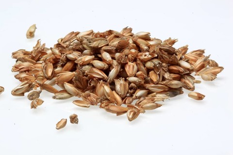 Spelt husks, spelt husks. Spelt husk is probably one of the best-known natural fillings for pillows