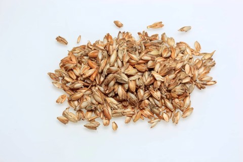 Spelt husks, spelt husks. Spelt husk is probably one of the best-known natural fillings for pillows