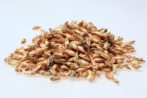 Spelt husks, spelt husks. Spelt husk is probably one of the best-known natural fillings for pillows
