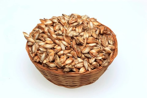 Spelt husks, spelt husks. Spelt husk is probably one of the best-known natural fillings for pillows