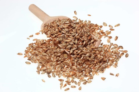 Spelt husks, spelt husks. Spelt husk is probably one of the best-known natural fillings for pillows