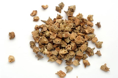 Medicinal plant Earth Burzelthorn, Tribulus terrestris