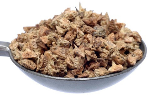 Medicinal plant Earth Burzelthorn, Tribulus terrestris