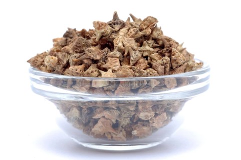Medicinal plant Earth Burzelthorn, Tribulus terrestris