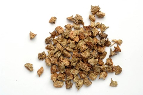 Medicinal plant Earth Burzelthorn, Tribulus terrestris