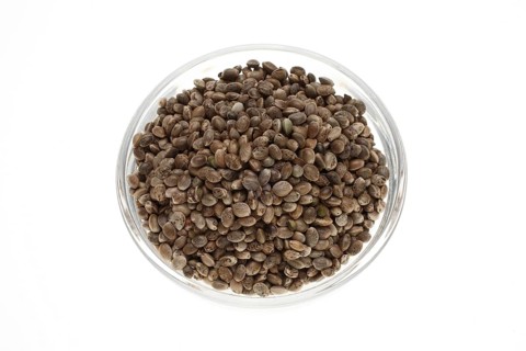 Hemp seeds or hemp nuts, Canabis sativa