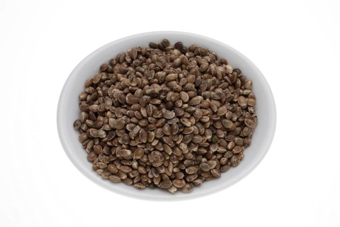 Hemp seeds or hemp nuts, Canabis sativa