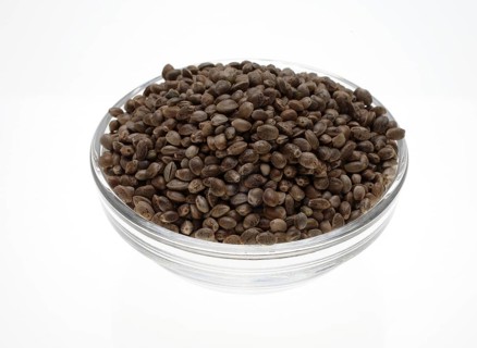Hemp seeds or hemp nuts, Canabis sativa