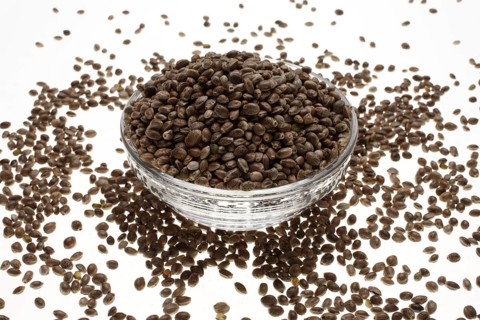 Hemp seeds or hemp nuts, Canabis sativa