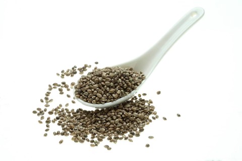 Hemp seeds or hemp nuts, Canabis sativa