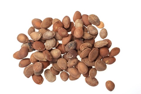 Medicinal plant hair flower, hair flower seeds
