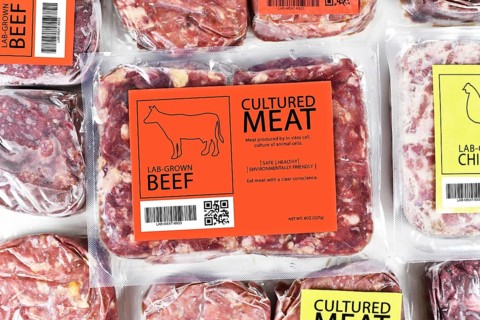 Cultured beef meat concept for artificial in vitro cell culture meat production with frozen packed raw meat with label,