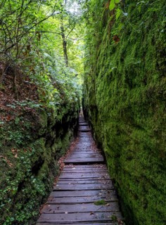 Drachenschlucht, a gorge near Eisenach in the Thuringian Forest in the nature reserve