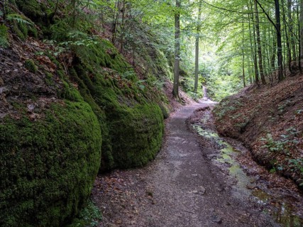 Drachenschlucht, a gorge near Eisenach in the Thuringian Forest in the nature reserve