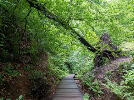 Drachenschlucht, a gorge near Eisenach in the Thuringian Forest in the nature reserve
