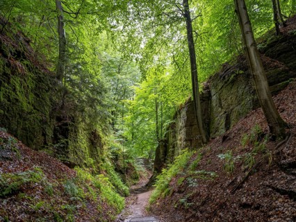 Drachenschlucht, a gorge near Eisenach in the Thuringian Forest in the nature reserve