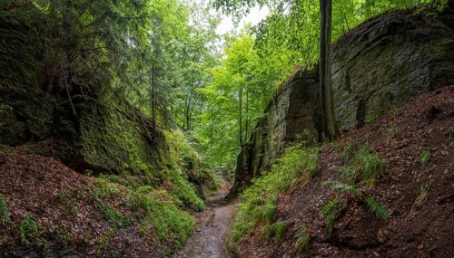 Drachenschlucht, a gorge near Eisenach in the Thuringian Forest in the nature reserve