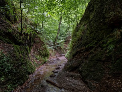 Drachenschlucht, a gorge near Eisenach in the Thuringian Forest in the nature reserve
