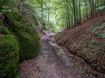 Drachenschlucht, a gorge near Eisenach in the Thuringian Forest in the nature reserve