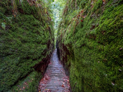 Drachenschlucht, a gorge near Eisenach in the Thuringian Forest in the nature reserve