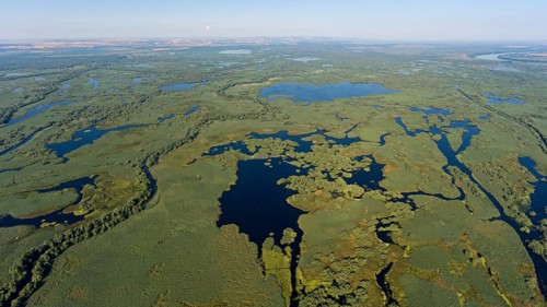 Danube River Delta, landscape with lakes