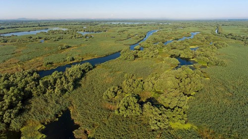 Danube River Delta, landscape with lakes
