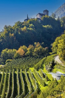 Lebenberg Castle, view from the Marlinger Waalweg