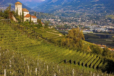 Lebenberg Castle overlooking vineyards, with the spa town of Merano in the background
