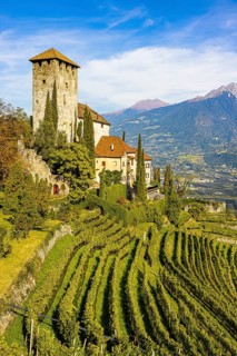 Lebenberg Castle above vineyards, near Cermes