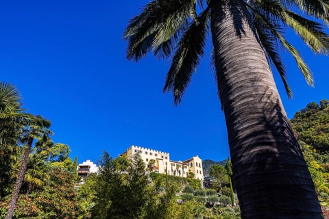 Trauttmansdorff Castle, with palm tree against blue sky