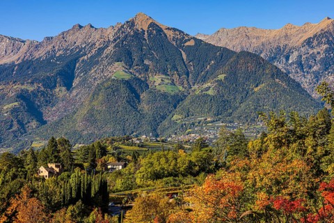 Autumn colours in the gardens of Trauttmansdorff Castle, in the background the Mutspitze