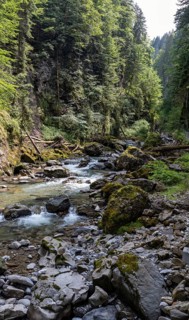 River Breitach in the Breitachklamm gorge near Oberstdorf, Oberallgaeu