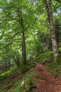 France, Pyrenean mountain range