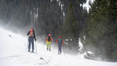 Three ski tourers, snowstorm