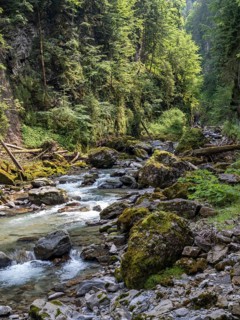 River Breitach in the Breitachklamm gorge near Oberstdorf, Oberallgaeu